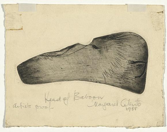 Artist: b'Cilento, Margaret.' | Title: b'Head of baboon.' | Date: 1951 | Technique: b'etching, printed in black ink with plate-tone, from one  plate'
