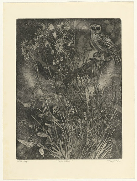 Artist: b'GRIFFITH, Pamela' | Title: b'Night watch' | Date: 1980 | Technique: b'etching, soft ground, spray resist printed in black ink, from one zinc plate' | Copyright: b'\xc2\xa9 Pamela Griffith'