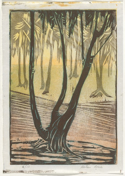 Artist: b'Read, Helen.' | Title: b'Evening sunlight' | Date: 1930s | Technique: b'linocut, printed in colour, from multiple blocks'