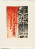 Artist: ARNOLD, Raymond | Title: Artificial nature II. | Date: c.1993 | Technique: etching, printed in red and black ink, from two plates