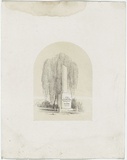 Artist: UNKNOWN AUSTRALIAN ARTIST, | Title: not titled [In memory of Allastair Grant McLean, Surgeyor General] | Date: 1862 | Technique: lithograph, printed in colour, from multiple stones