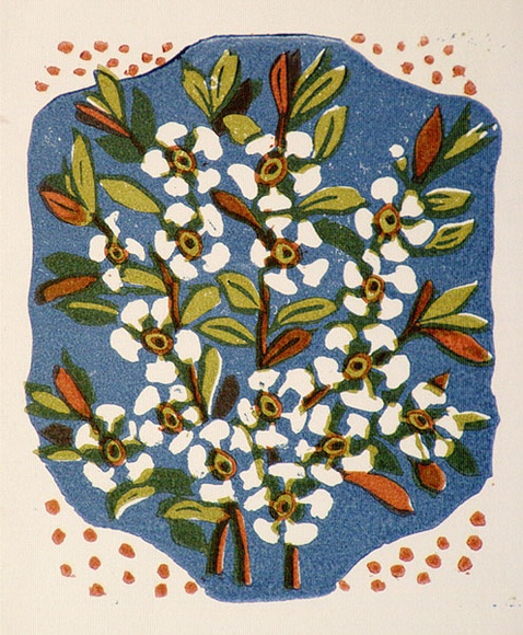Artist: b'OGILVIE, Helen' | Title: b'Tea tree' | Date: 1953 | Technique: b'linocut, printed in colour, from multiple blocks'