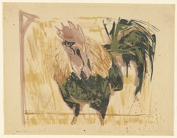 Artist: b'MACQUEEN, Mary' | Title: b'Cock at Whyalla' | Date: c.1966 | Technique: b'lithograph, printed in colour, from multiple plates' | Copyright: b'Courtesy Paulette Calhoun, for the estate of Mary Macqueen'