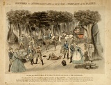 Title: The way Her Majesty's mails and the public protectors are served in New South Wales | Date: c.1865 | Technique: lithograph, printed in black ink, from one stone; hand-coloured