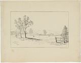 Title: b'Glen Osborn South Australia' | Date: c.1853 | Technique: b'lithograph, printed in black ink, from one stone'