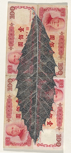 Artist: b'HALL, Fiona' | Title: b'Quercus variabilis - Chinese cork oak (Chinese currency)' | Date: 2000 - 2002 | Technique: b'gouache' | Copyright: b'\xc2\xa9 Fiona Hall'