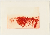 Artist: ARNOLD, Raymond | Title: not titled [rose in red]. | Date: 1992 | Technique: etching, printed in red ink, from one plate