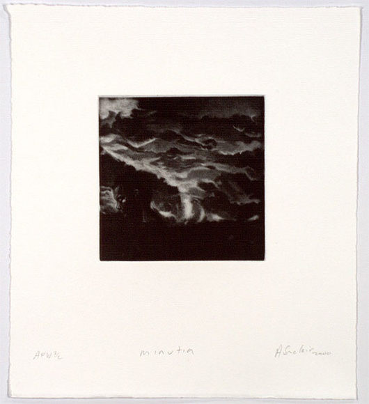 Artist: b'Sinclair, Andrew.' | Title: b'Minutia' | Date: 2000, October | Technique: b'mezzotint, scraping and burnishing, printed in black ink, from one plate'