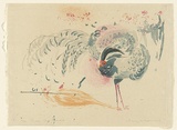 Artist: b'MACQUEEN, Mary' | Title: b'Chinese silver pheasant' | Date: 1968 | Technique: b'lithograph, printed in colour, from multiple plates' | Copyright: b'Courtesy Paulette Calhoun, for the estate of Mary Macqueen'