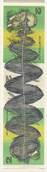 Artist: HALL, Fiona | Title: Banksia grandis - Bull banksia (Australian currency) | Date: 2000 - 2002 | Technique: gouache | Copyright: © Fiona Hall