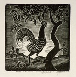 Artist: b'OGILVIE, Helen' | Title: b'Early morning' | Date: 1935 | Technique: b'wood-engraving, printed in black ink, from one block'