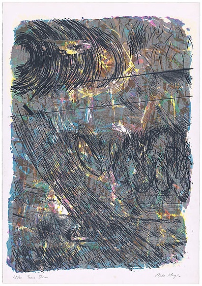 Artist: b'MEYER, Bill' | Title: b'Grass storm' | Date: 1987 | Technique: b'screenprint, printed in colour, from multiple stencils' | Copyright: b'\xc2\xa9 Bill Meyer'