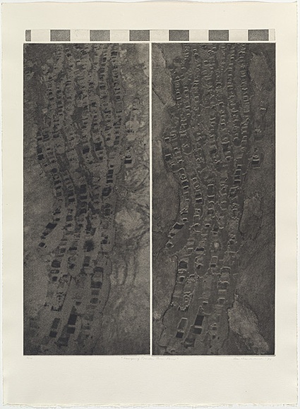 Artist: b'MADDOCK, Bea' | Title: b'Hanging Tracks Three Four' | Date: 1975 | Technique: b'etchuing, aquatint, photo-etching, printed in black ink, from three plates'