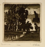 Artist: b'Hunter, William.' | Title: b'Trees' | Date: 1940s | Technique: b'etching and aquatint, printed in brown ink, from one plate'