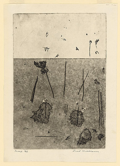 Artist: b'WILLIAMS, Fred' | Title: b'Gum trees in landscape, Lysterfield' | Date: 1965-66 | Technique: b'etching, sugar aquatint, engraving, drypoint, open biting, printed in black ink, from one copper plate' | Copyright: b'\xc2\xa9 Fred Williams Estate'