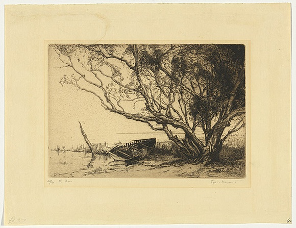 Artist: b'Morgan, Squire.' | Title: b'Ti trees' | Date: 1922 | Technique: b'etching and aquatint, printed in brown ink with plate-tone, from one plate'