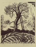 Artist: b'Jones, Tim.' | Title: bSam's tree (Saul's tree?) | Date: 1994, May | Technique: b'lithograph, printed in black ink, from one stone'