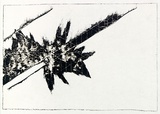 Artist: Roberts, Neil. | Title: Eruptions 10 | Date: 1991 | Technique: pigment-transfer, printed in brown ink, from one bitumen paper plate