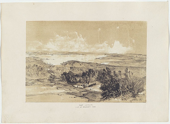 Artist: b'PROUT, John Skinner' | Title: bPort Jackson, east of Bradley's Head | Date: 1842 | Technique: b'lithograph, printed in colour, from two stones (black and brown tint stone)'