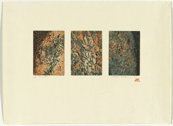 Artist: b'Thorpe, Lesbia.' | Title: b'Chinese elm' | Technique: b'lithograph, printed in colour, from multiple stones; over etching, printed in black ink, each from one plate'