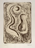 Artist: b'Danaher, Suzanne.' | Title: bnot titled ['Within the skin?'] | Date: 1991, August | Technique: b'lithograph, printed in black ink, from one stone'