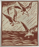 Artist: b'Reynell, Gladys' | Title: b'(Sea gulls).' | Date: 1923-1933 | Technique: b'linocut, printed in sepia ink, from one block' | Copyright: b'\xc2\xa9 The Estate of Gladys Reynell'