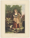 Artist: UNKNOWN | Title: A bush toilet | Date: 1877, December | Technique: wood-engraving, printed in colour, from six blocks