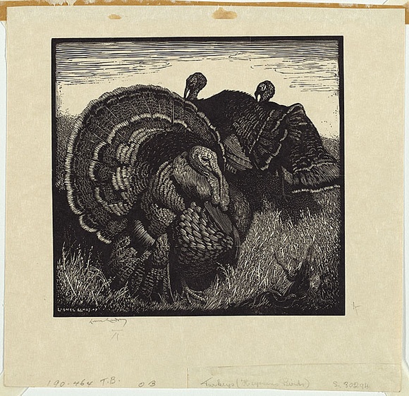 Artist: b'LINDSAY, Lionel' | Title: bHeysen's birds | Date: 1923 | Technique: b'wood-engraving, printed in black ink, from one block' | Copyright: b'Courtesy of the National Library of Australia'