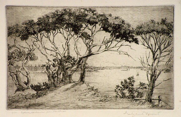 Artist: b'Mort, Eirene.' | Title: b'Sydney Harbour from Vaucluse' | Date: 1923 | Technique: b'etching, printed in black ink, from one plate'