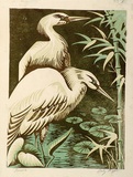 Artist: b'Higgs, Florence.' | Title: b'Herons' | Date: c.1954 | Technique: b'linocut, printed in colour, from three blocks'