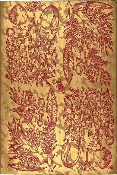 Artist: b'REDBACK GRAPHIX' | Title: b'Wrapping paper: Gold' | Date: 1986 | Technique: b'screenprint, printed in colour, from three stencils'