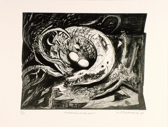 Artist: b'Stavrianos, Wendy.' | Title: b'Protection of the nest.' | Date: 1992 | Technique: b'etching, printed in black ink, from one  plate'
