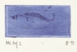 Artist: b'Palethorpe, Jan' | Title: b'not titled [tilted head]' | Date: 1993 | Technique: b'etching, printed in blue ink, with plate-tone, from one plate'