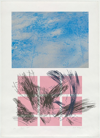 Artist: MEYER, Bill | Title: Genetic light | Date: 1981 | Technique: screenprint, printed in colour, from five stencils (photo and hand-cut, indirect) | Copyright: © Bill Meyer