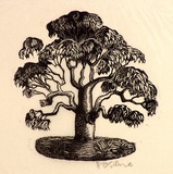 Artist: b'OGILVIE, Helen' | Title: b'not titled [Colophon: stylized gum tree].' | Date: c.1944 | Technique: b'wood-engraving, printed in black ink, from one block'