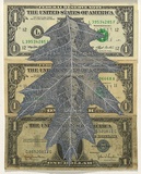 Artist: b'HALL, Fiona' | Title: b'Quercus palustris - Pin oak (American currency)' | Date: 2000 - 2002 | Technique: b'gouache' | Copyright: b'\xc2\xa9 Fiona Hall'