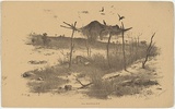 Artist: b'GILL, S.T.' | Title: b'Native Sepulchure.' | Date: 1855-56 | Technique: b'lithograph, printed in black ink, from one stone'