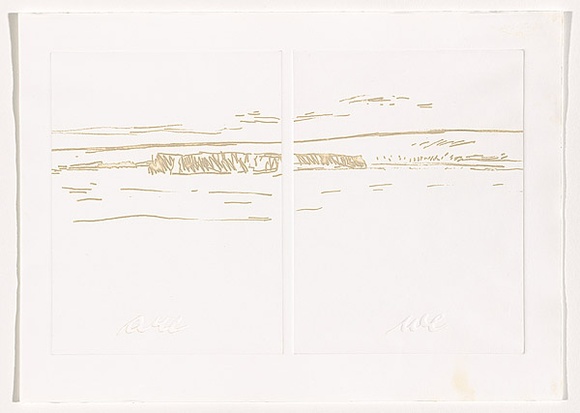 Title: b'Antarctica (sheet 8)' | Date: 1988 | Technique: b'photo-etching and embossing, printed in intaglio and relief, from two zinc plates'