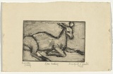 Artist: b'Cilento, Margaret.' | Title: b'Doe resting.' | Date: 1948 | Technique: b'etching, printed in black ink with plate-tone, from one  plate'