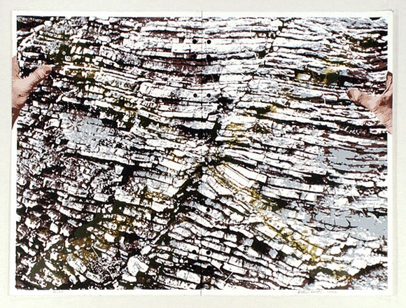 Artist: b'WICKS, Arthur' | Title: b'Landscape plan' | Date: 1982 | Technique: b'screenprint, printed in colour, from multiple stencils'