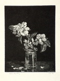 Artist: b'LINDSAY, Lionel' | Title: b'Apple blossom' | Date: 1924 | Technique: b'wood-engraving, printed in black ink, from one block' | Copyright: b'Courtesy of the National Library of Australia'