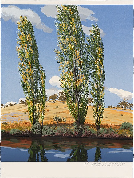 Artist: b'ROSE, David' | Title: b'Poplars at Thredbo River' | Date: 1993 | Technique: b'screenprint, printed in colour, from multiple stencils'
