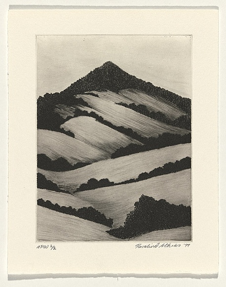 Artist: Atkins, Ros. | Title: Still | Date: 1999, November | Technique: etching and engraving, printed in black ink with plate-tone, from one plate