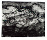 Artist: b'Shepherdson, Gordon.' | Title: b'The Mackerel: Number twelve' | Date: 1979 | Technique: b'etching and aquatint, printed in colour with plate-tone, from one plate'