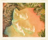 Artist: b'Robinson, William.' | Title: b'Creation landscape - water and land I (clouds)' | Date: 1991 | Technique: b'lithograph, printed in colour ink, from multiple stones'