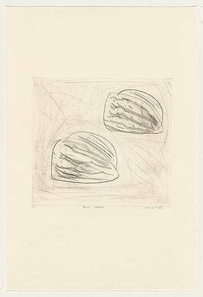 Title: b'Some shells' | Date: 1982 | Technique: b'drypoint, printed in black ink, from one perspex plate'