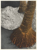 Artist: EWINS, Rod | Title: Backwash, Kaimu Black Sand Beach. | Date: 1990 May | Technique: spray-can aquatint, printed in black ink, from one steel plate; and cardboard relief print