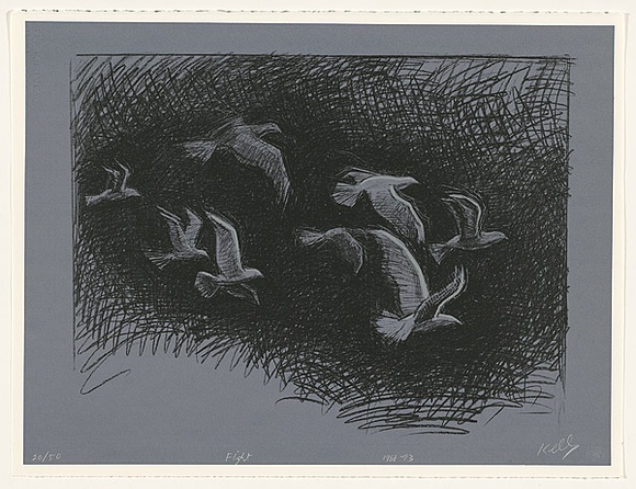 Artist: b'Kelly, William.' | Title: b'Flight.' | Date: 1988-93 | Technique: b'screenprint, printed in colour, from three stencils'