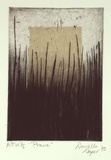 Artist: Draper, Danella. | Title: Prana | Date: 1995, April | Technique: etching, printed in black ink with plate-tone, from one plate