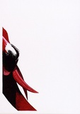 Artist: b'Newmarch, Ann.' | Title: b'Malu Karu (Sturt Desert Pea)' | Date: 1980 | Technique: b'screenprint, printed in colour, from multiple stencils'